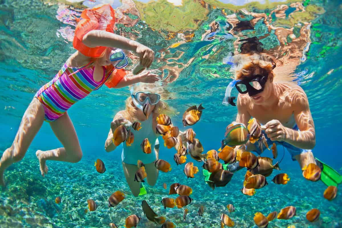 Happy,Family,-,Father,,Mother,,Child,In,Snorkeling,Mask,Dive